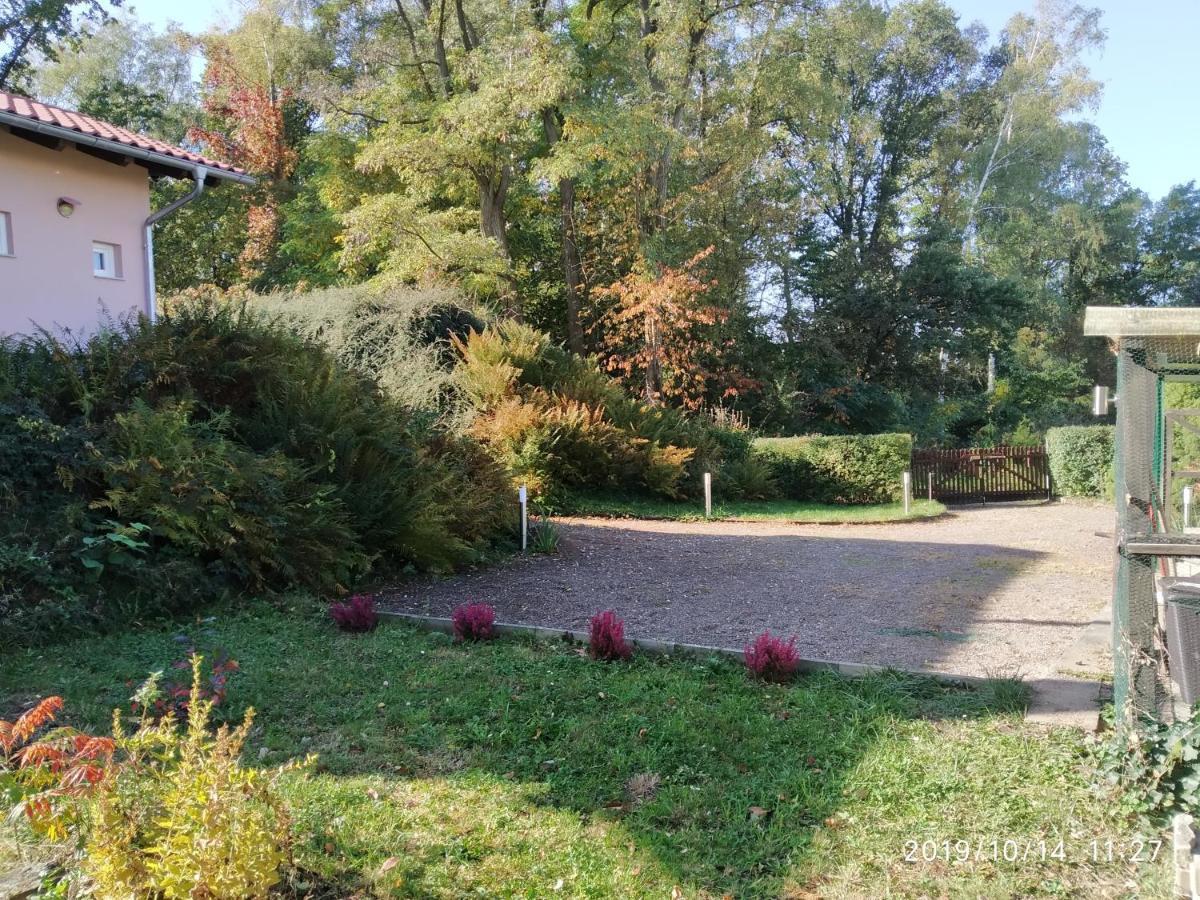 Kleines Gartenhaus Am Mahler Grossschirma Екстер'єр фото